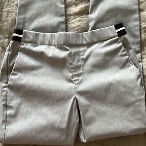 Ankle length professional pants
